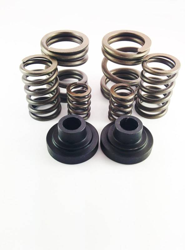 Dynomite Diesel - Dodge 94-98 P-Pump 3,000 and 4,000 RPM Governor Spring Kit Dynomite Diesel