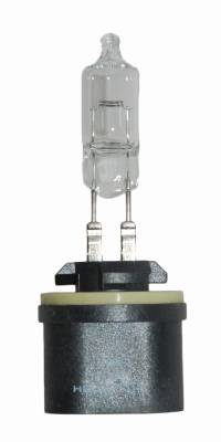 Hella - Hella 884 Halogen Bulb 884 - Image 2